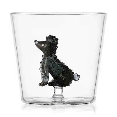 Ichendorf Dogs Tumbler - Poodle In Transparent