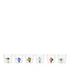 Ichendorf Marine Garden Assorted Glasses, Set Of 6