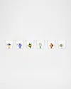 Ichendorf Marine Garden Assorted Glasses, Set Of 6