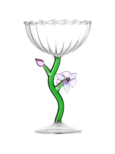 Ichendorf Milano Flower Champagne Glasses (set Of Six) In Multi