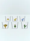 Ichendorf Milano Desert Plants Set-of-six Tumblers In Multicolour