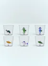 Ichendorf Milano Set Of Six Marine Garden Tumblers In Clear