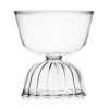 Ichendorf Milano Tutu Water Bowl In Clear