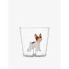 Ichendorf Multicolor French Bulldog Glass Tumbler 8cm In Transparent