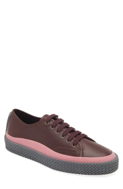 Icon Trade Services Storm Leather Sneaker In Burgundy