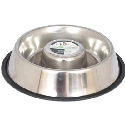 Iconic Pet Slow Feeder In Stainless Steel