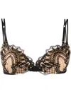 Id Sarrieri Christmas Push-up Bra In Black