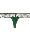 Id Sarrieri Embroidered Tulle Thong In Green