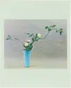 Idea Ikebana — An  Book