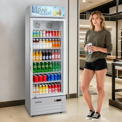 Idealhouse 9.1 Cu.ft Commercial Beverage Cooler With Rgb Led Lights & Remote - 280 Can Glass Door Display Fridg In Silver