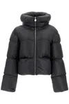 Ienki Ienki Bear Kenny Zip-up Puffer Jacket In Black (black)