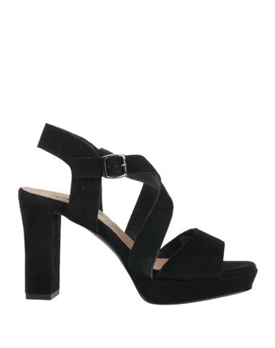 Igi & Co Woman Sandals Black Size 8 Goat Skin