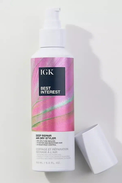 Igk Best Interest Deep Repair Air Dry Styler