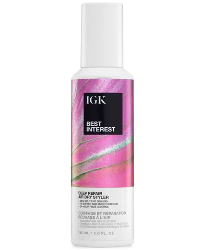 Igk Hair Best Interest Deep Repair Air Dry Styler In No Color