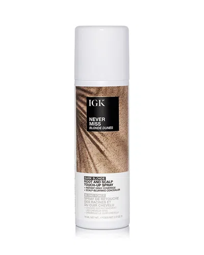 Igk Hair Never Miss Root & Scalp Touch Up Spray - Blackout 2 Oz.