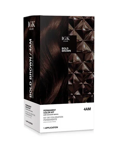 Igk Hair Permanent Color Kit In Bold Brown
