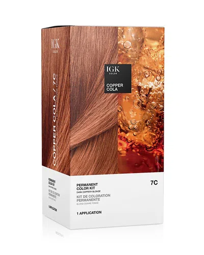 Igk Hair Permanent Color Kit In Copper Cola