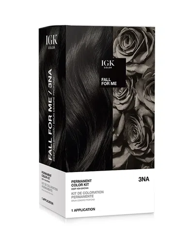 Igk Hair Permanent Color Kit In Fall For Me