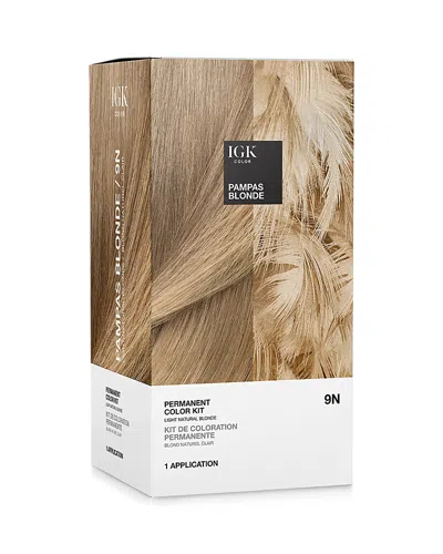 Igk Hair Permanent Color Kit In Pampas Blonde