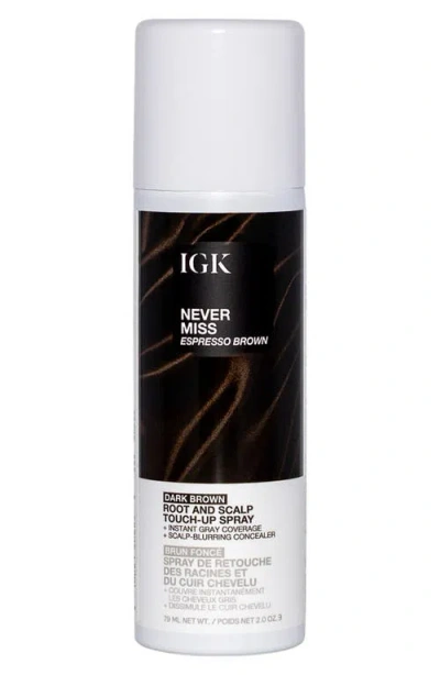 Igk Never Miss Root & Scalp Touch-up Spray In Brown