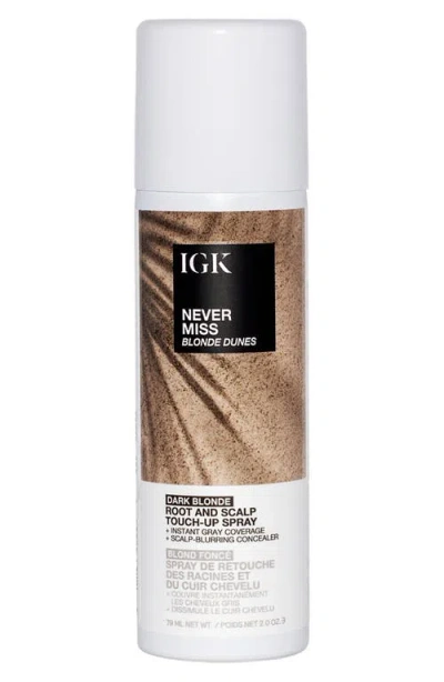 Igk Never Miss Root & Scalp Touch-up Spray In Brown