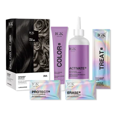 Igk Permanent Color Kit - 3na Fall For Me