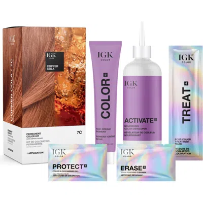Igk Permanent Color Kit In Copper Cola