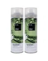 Igk Unisex 6.3oz Direct Flight Matcha Dry Shampoo - Pack Of 2 In Green