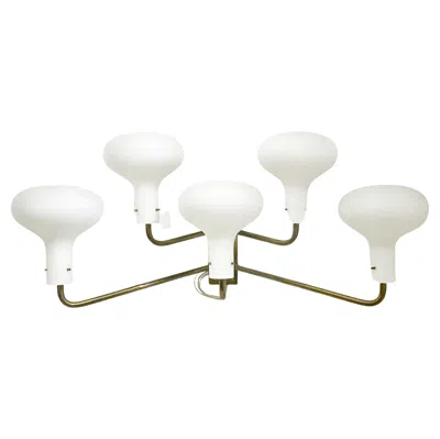 Pre-owned Ignazio Gardella Mid-century Wall Light " Lp12" By , Azucena, 1960 In Transparent