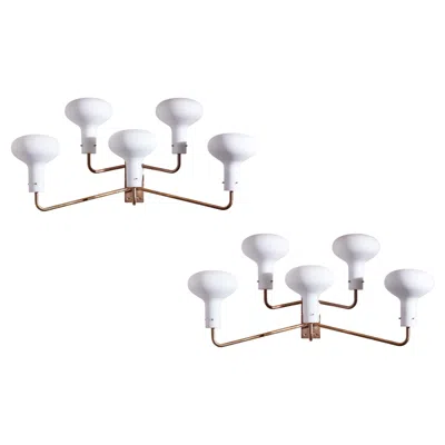 Pre-owned Ignazio Gardella Pair Of Lp12 Brass And Glass Wall Lights For Azucena Italy 1959 In Transparent