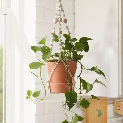 Ikea Användbar Hanging Plant Holder, Hanging/natural, Length: 55 "