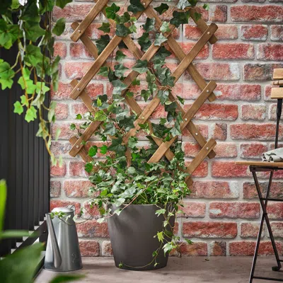 Ikea Askholmen Trellis, Dark Brown, Width: 28 3/8 "