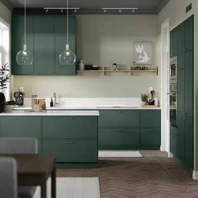 Ikea Aspudden Door, Dark Gray-green, 15x40 "