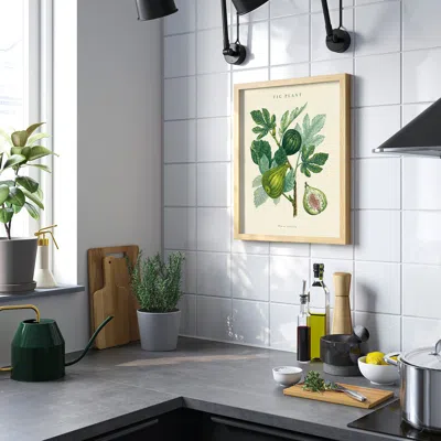 Ikea Bild Poster, Fig Plant, 16x20 "