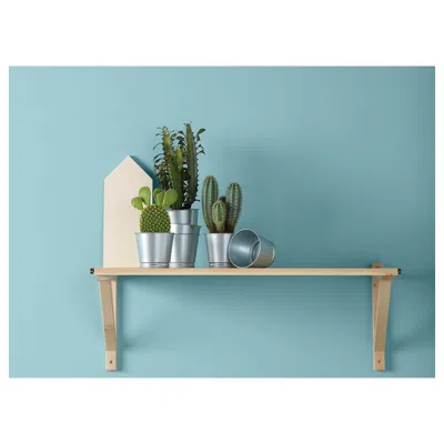 Ikea Bintje Plant Pot, Galvanized, 4 ¼ "