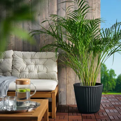 Ikea Björnbambu Plant Pot, Indoor/outdoor Dark Gray, 12 ½ "