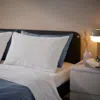 Ikea Bärglim Sheet Set, White, Full/double In Blue