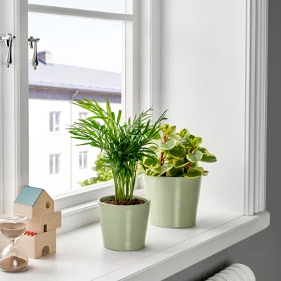Ikea Brokspirea Plant Pot, Light Green, 4 ¾ "