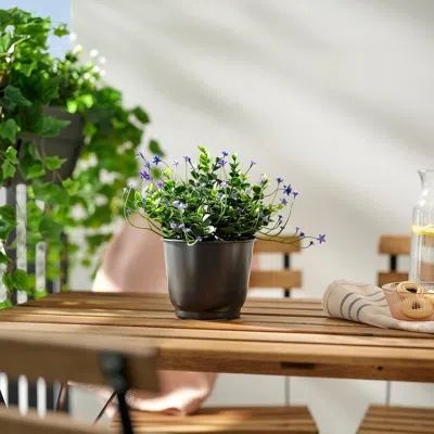 Ikea Broktrast Plant Pot, Indoor/outdoor/dark Gray, 4 ¾ "