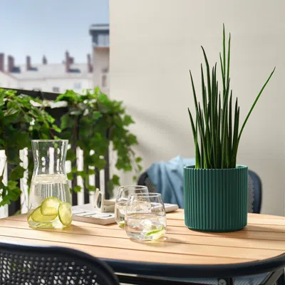 Ikea Daksjus Plant Pot, Dark Green, 5 "