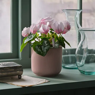 Ikea Fejka Artificial Potted Plant, Indoor/outdoor Alpine Violet/light Pink, 4 ¾ " In Brown