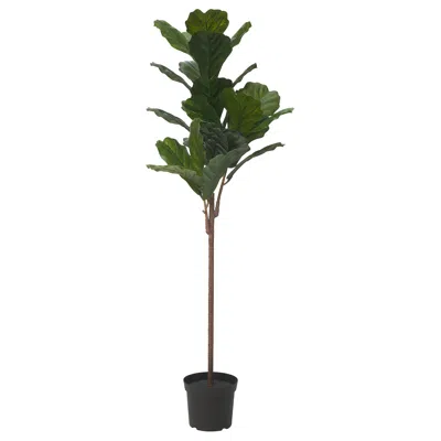 Ikea Fejka Artificial Potted Plant, Indoor/outdoor Fiddle-leaf Fig, 7 ½ "