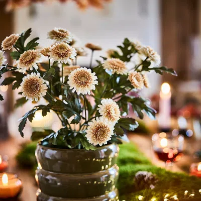 Ikea Fejka Artificial Potted Plant, Indoor/outdoor/chrysanthemums Light Orange, 6 " In Multi