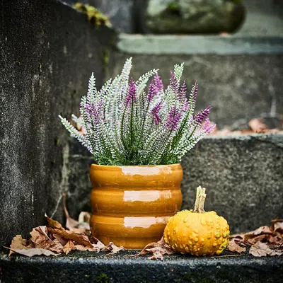 Ikea Fejka Artificial Potted Plant, Indoor/outdoor/heather Lilac, 4 ¾ " In Multi