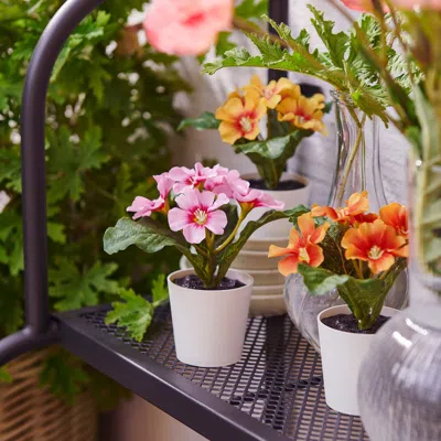 Ikea Fejka Artificial Potted Plant, Indoor/outdoor/primrose Mixed Colors, 2 ¼ " In White