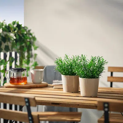 Ikea Fejka Artificial Potted Plant, Indoor/outdoor/rosemary, 3 ½ "