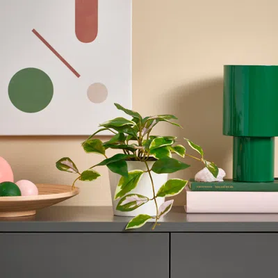 Ikea Fejka Artificial Potted Plant, Indoor/outdoor/wax Plant Hanging, 3 ½ "