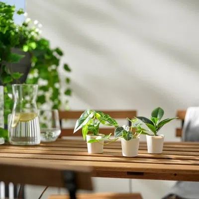 Ikea Fejka Artificial Potted Plant, Set Of 3, Indoor/outdoor Leaf