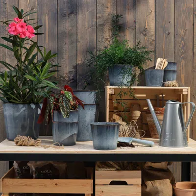 Ikea Fjärilsbuske Plant Pot, Indoor/outdoor/blue, 7 ½ "