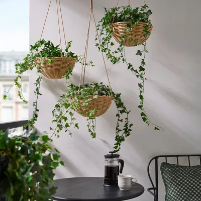 Ikea Flodbjörk Hanging Planter, Indoor/outdoor Light Gray-brown, 10 ¾ "
